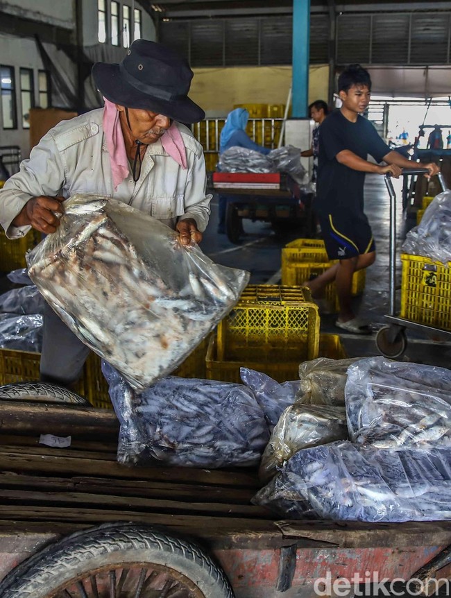 Muara Angke Bergeliat, KKP Bidik 10,57 Juta Ton Ikan