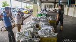 Muara Angke Bergeliat, KKP Bidik 10,57 Juta Ton Ikan