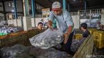 Muara Angke Bergeliat, KKP Bidik 10,57 Juta Ton Ikan