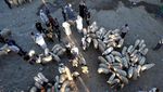 Pasar Hewan Baghdad Bergeliat Sambut Festival Idul Adha 2026