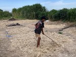 Warga Keluhkan Bau Busuk Limbah Bulu Ayam di Klungkung