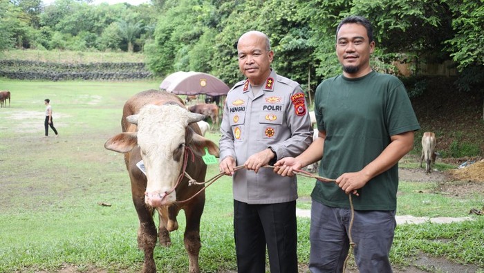 Polda Banten salurkan 70 sapi dan 5 domba kurban untuk masyarakat