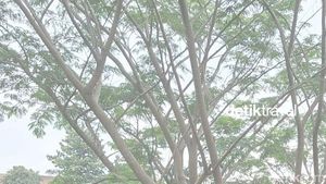 Video: Taman dengan Desain yang Unik, Taman Apung Jaktim