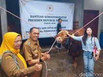Dragonball, Sapi Kurban Prabowo Berbobot 1,1 Ton di Cimahi