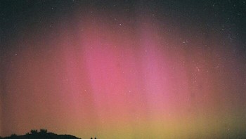 Aurora Australis dari Wellington, Selandia Baru. Cahayanya sangat terang sehingga terlihat menembus lampu kota. Foto: Bored Panda
