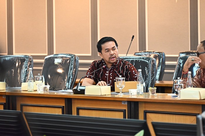 Anggota DPR RI, Marinus Gea