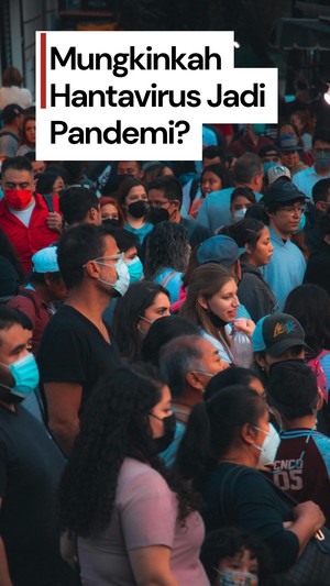 Video: Apakah Hantavirus akan Jadi Pandemi Seperti Covid-19?
