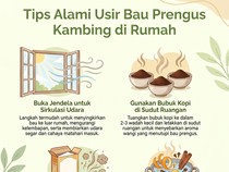 Ini Cara Ampuh Hilangkan Bau Prengus di Rumah Usai Kurban