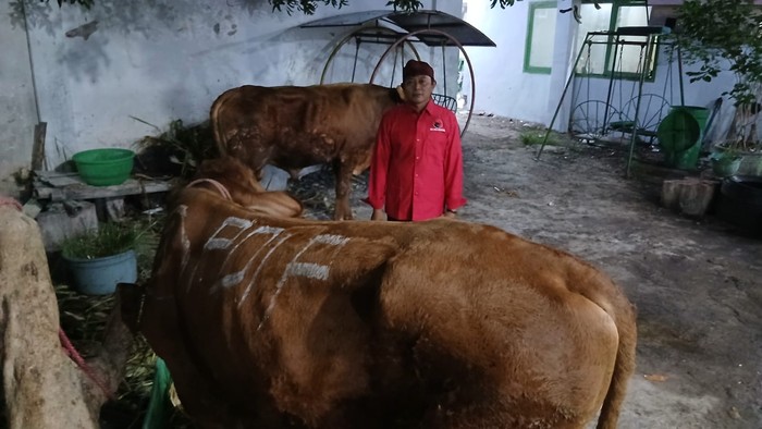 DPD PDIP Jatim Bagikan 468 Ekor Sapi Kurban untuk Warga dan Pesantre