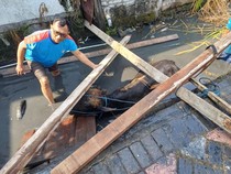Idul Adha Core: Sapi Kurban di Surabaya Lepas hingga Nyemplung Sungai