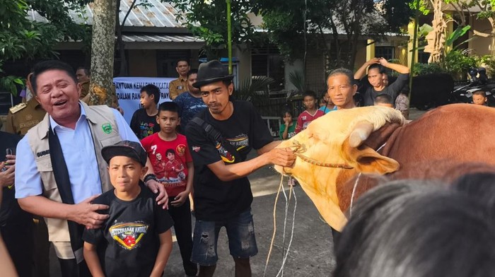 Gubernur Sumsel Herman Deru saat meninjau sapi kurban Presiden Prabowo di Masjid Taqwa.