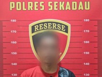 Marah Ditanya Alasan Tak Pulang ke Rumah, Pria di Sekadau Aniaya Istri