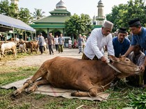 Doa Ketika Melihat Hewan Kurban Disembelih untuk Diri Sendiri dan Keluarga