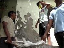Video Panas Ekstrem di India Bikin Warga-Kambing Masuk RS