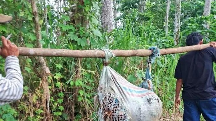 Jasad Aminah (64), yang sebelumnya dilaporkan hilang ditemukan dalam karung yang hanyut di sungai