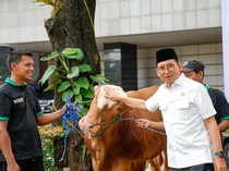 Kemenbud Kurban 23 Ekor Sapi, Menbud Bicara Nilai-nilai Pengorbanan