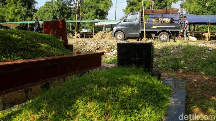 Pedagang memberikan pakan kepada kambing yang dijual di dekat area makam kawasan Tanah Kusir, Jakarta, Senin (26/5/2026).

Mendekati Iduladha 1447 Hijriah, lapak penjualan hewan kurban di kawasan tersebut sibuk mengirim hewan kurban ke berbagai daerah.