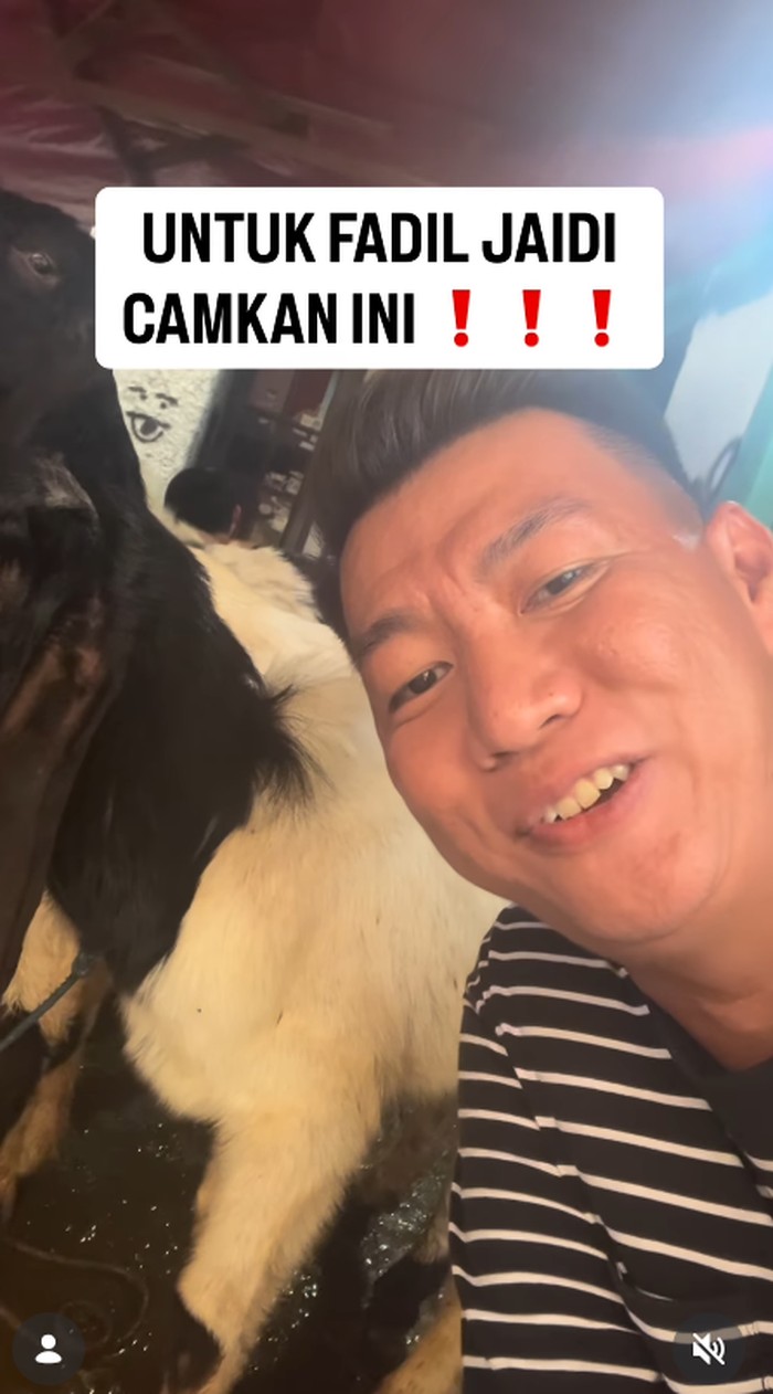 Pose artis dengan hewan kurban