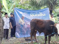 Tips Menabung Beli Hewan Kurban untuk Idul Adha Tahun Depan