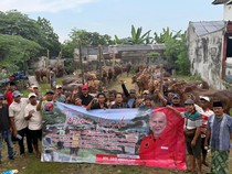 PDIP Jatim Salurkan 468 Sapi ke Ponpes dan Kampung, Ini Pesan yang Dibawa