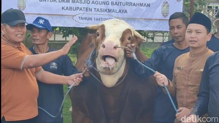 Sapi dari Prabowo di Tasikmalaya
