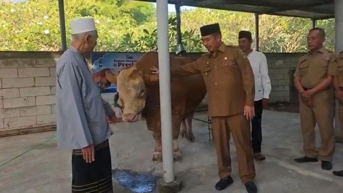 Bupati Madiun Hari Wuryanto menyerahkan sapi kurabn Presiden Prabowo ke pengasuh Ponpes Pasulukan Thoriqoh Naqsyabandiyah Kholidiyah Sulaiman