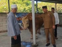 Ponpes di Madiun Terima Sapi Kurban Prabowo 1,1 Ton