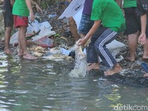 Denda Rp 50 Juta Menanti Warga Nekat Cuci Rumen Hewan di Sungai Surabaya!
