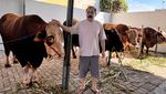 Sapi Kurban Para Artis