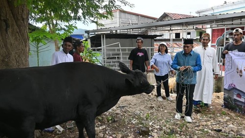 Bupati Manggarai Barat, Edistasius Endi, menyerahkan sapi kurban Idul Adha bantuan Presiden Prabowo Subianto kepada pengurus Masjid Baiturohim Lamtoro Labuan Bajo, Rabu (27/6/2026) (Dok. Pemkab Manggarai Barat)