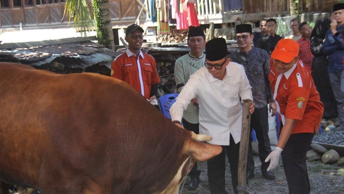 Bupati OKU Teddy Meilwansyah menyerahkan hewan kurban Presiden ke warga
