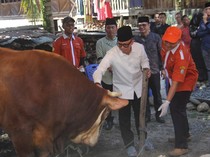Bupati OKU Serahkan Sapi Kurban Presiden Prabowo ke Warga Muara Jaya