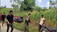 Ikut Bersihkan Jeroan Hewan Kurban, 2 Bocah Pemalang Tewas Tenggelam di Sungai