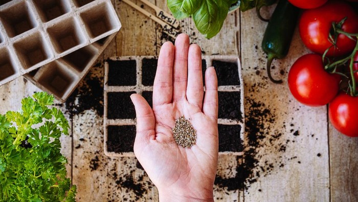 Spring is coming, its time to plant the seeds in the ground and start sowing for a beautiful garden.