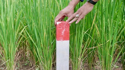 Penting! Batas Tanah Harus Dipasang Patok, Ini Alasannya
