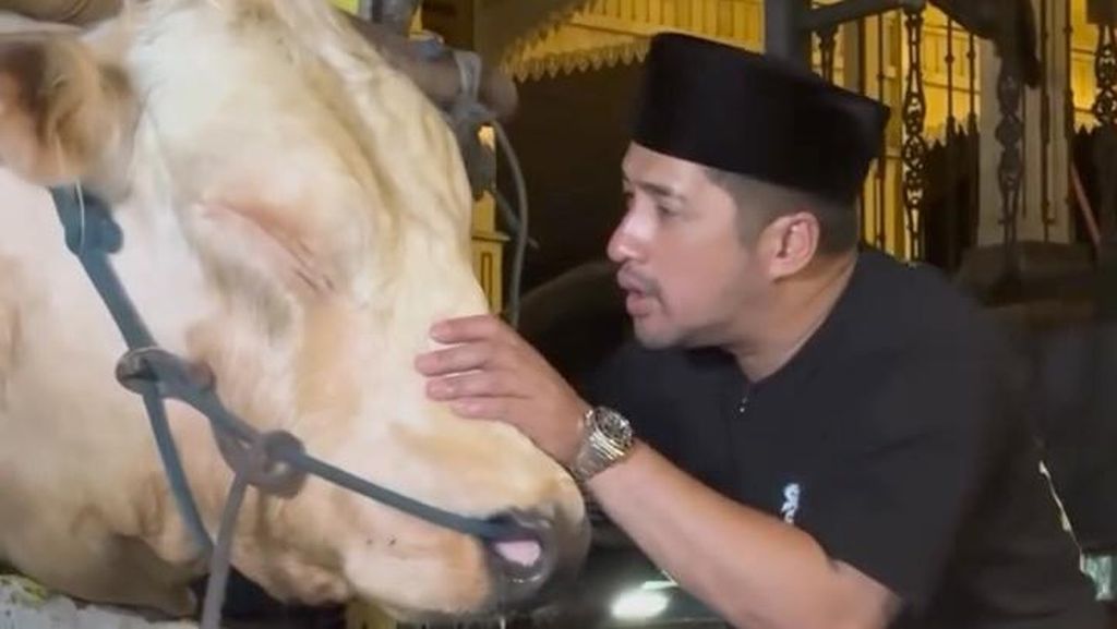 Video: Lihat Lagi Momen Kurban Selebritas Tanah Air saat Idul Adha