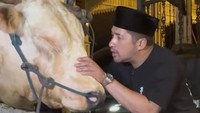 Irfan Hakim turut kembali berkurban sapi di Idul Adha 2026. Sapinya pun berukuran besar seperti tahun-tahun sebelumnya. (Foto: dok Instagram irfanhakim75)