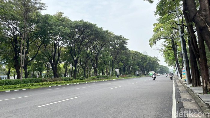 Jalanan di Kota Surabaya lenggang saat Hari Raya Idul Adha