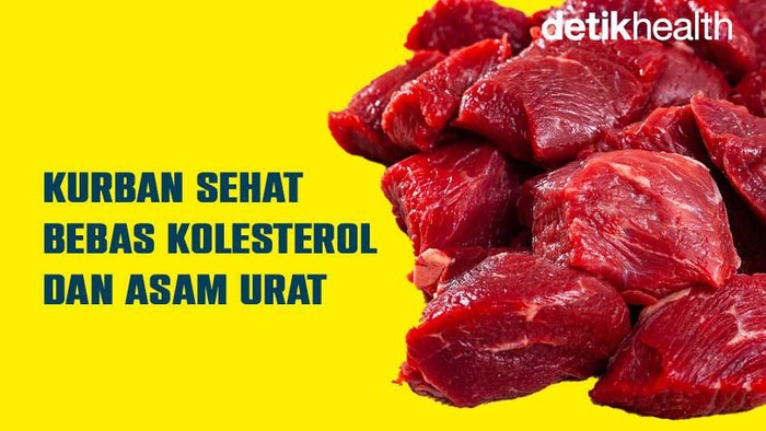 daging kurban sehat bebas asam urat