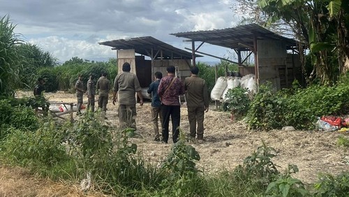 Anggota Satpol PP Klungkung mendatangi lokasi pengeringan limbah bulu ayam yang menimbulkan bau busuk dan mengganggu warga di Desa Tojan, Klungkung, Bali, Selasa (26/5/2026).
