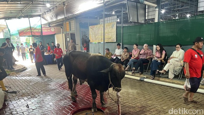 Masjid Raya Pondok Indah, Jakarta Selatan, memotong sebanyak 10 sapi dan 35 kambing pada kurban hari Idul Adha 1447 H. (Adhfar/detikcom)