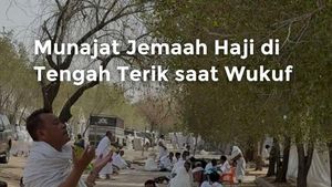 Video: Munajat Jemaah Haji di Tengah Terik saat Wukuf