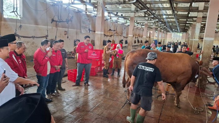 PDIP Jatim potong 14 hewan kurban di RPH Surabaya.