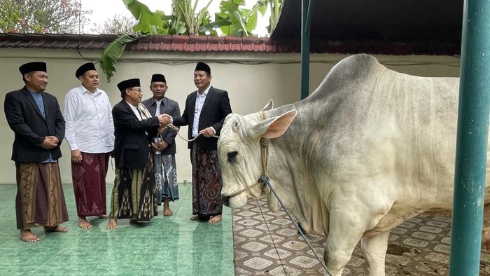 Bupati Subandi saat menyalurkan hewan kurban ke takmir Masjid Agung Sidoarjo