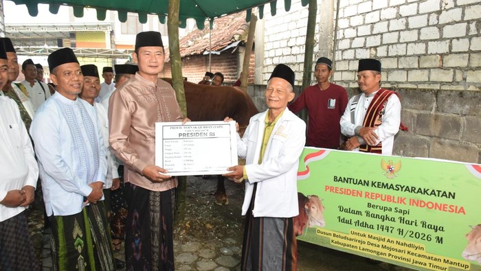 Pemotongan sapi kurban 1,1 ton dari Prabowo di Lamongan.