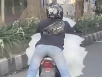 Video: Pemotor Superman Es Batu Beraksi Lagi, Kali Ini di Kota Bogor!