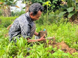 Cerita Petani Memulihkan Lahan Kritis Jalur Jelajah Gajah di Bukit Tigapuluh