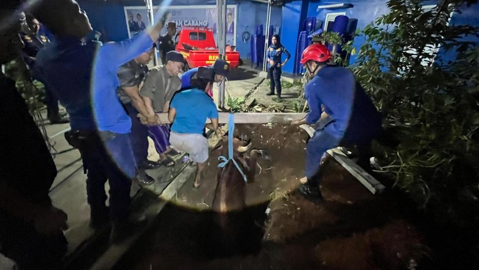 Petugas Damkar Bandar Lampung membantu evakuasi sapi.