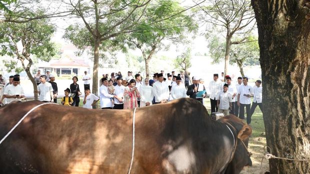 Polda Riau mendistribusikan 195 hewan kurban ke sejumlah desa pelosok, Rabu (27/5/2026).