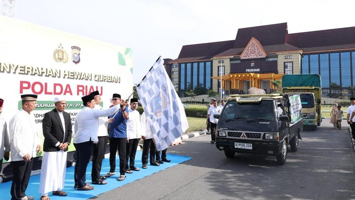 Polda Riau mendistribusikan 195 hewan kurban ke sejumlah desa pelosok, Rabu (27/5/2026).